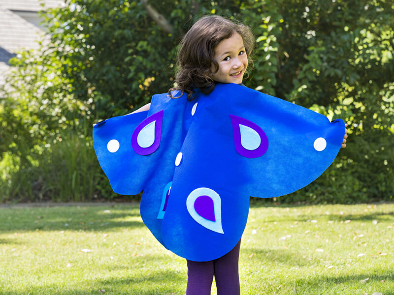 Butterfly Wings - Image 5