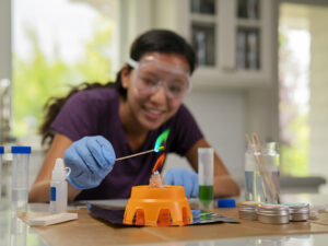 Fire Lab