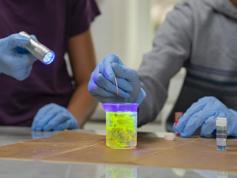 Glow Lab - Image 4