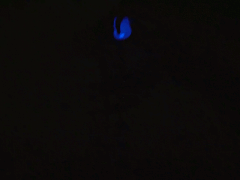 Glow Lab - Image 2