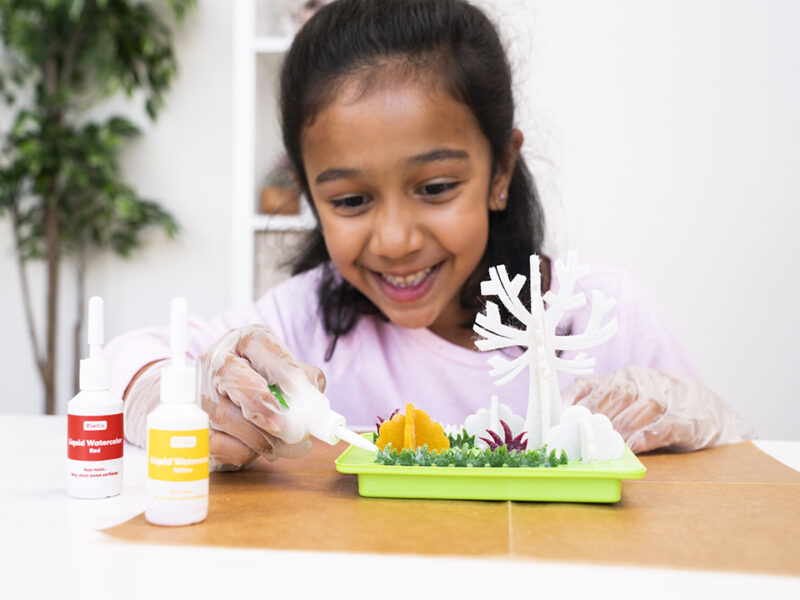 Crystal Chemistry Garden - Image 6