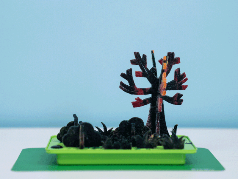 Crystal Chemistry Garden - Image 2