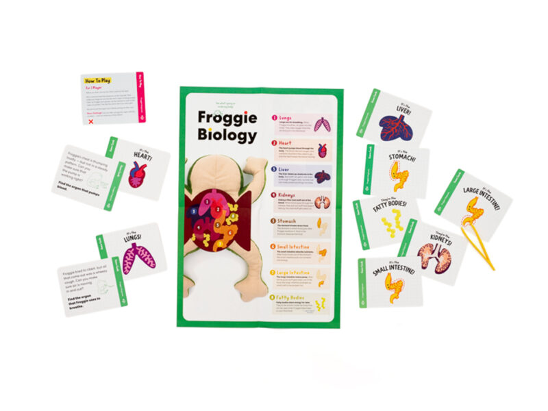 Froggie Dissection Lab - Image 3