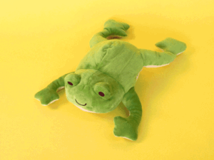 Froggie Dissection Lab