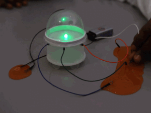 Slime Circuits