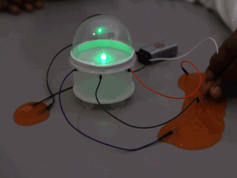 Slime Circuits