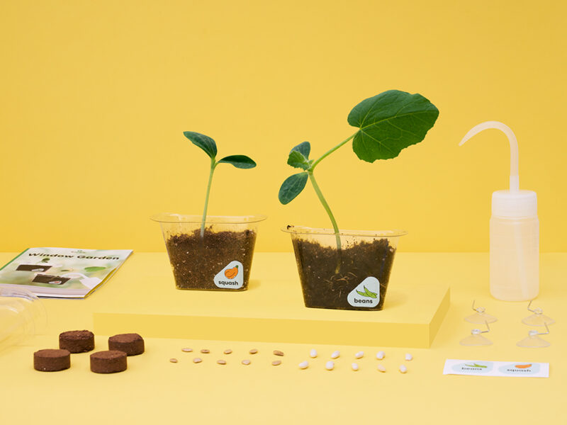 Window Garden - Image 2