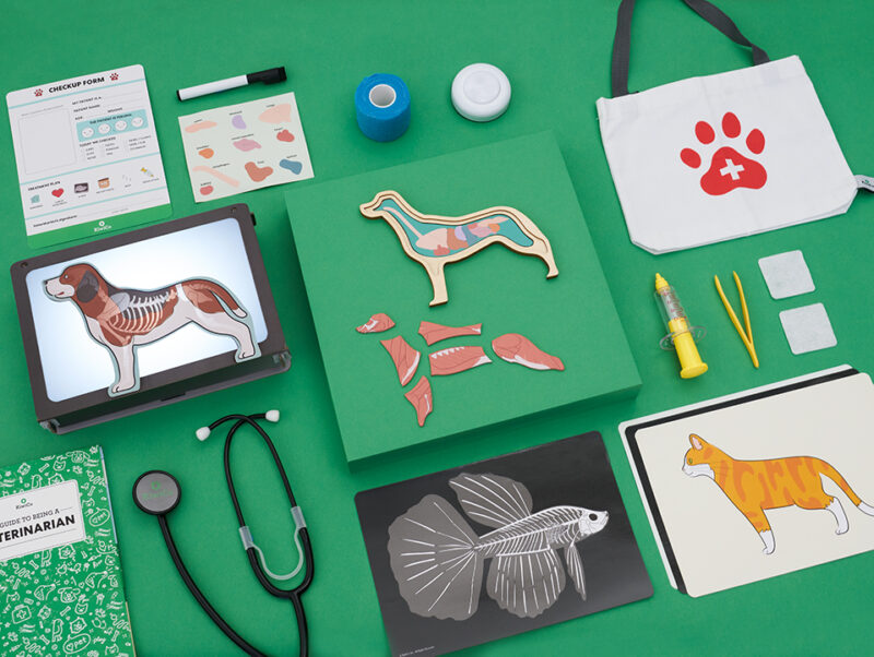 Veterinarian Starter Kit - Image 5