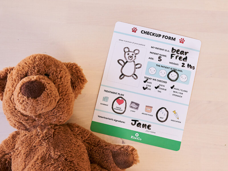 Veterinarian Starter Kit - Image 4