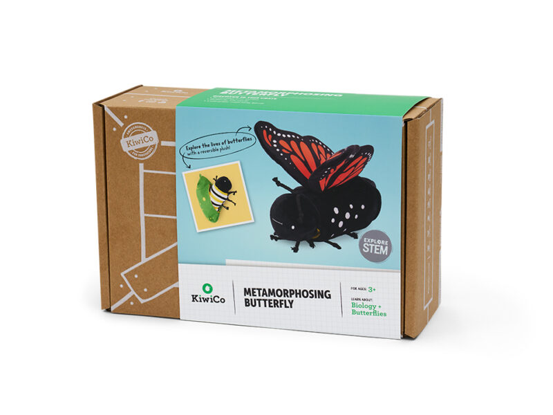 Metamorphosing Butterfly - Image 5