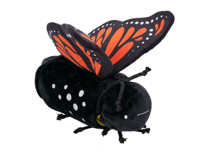 Metamorphosing Butterfly - Image 6