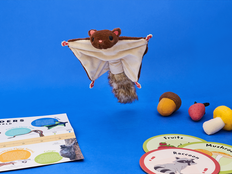 Flying Squirrel - Image 4