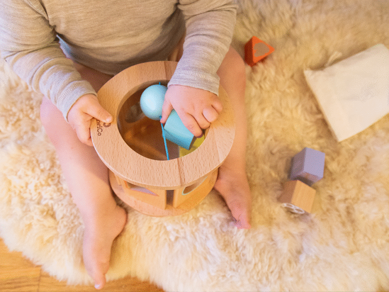 Biology Blocks Shape Sorter - Image 5