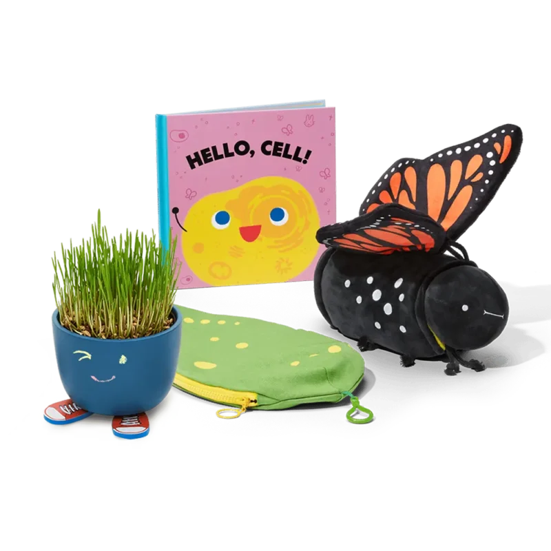Bloom & Fly Bundle