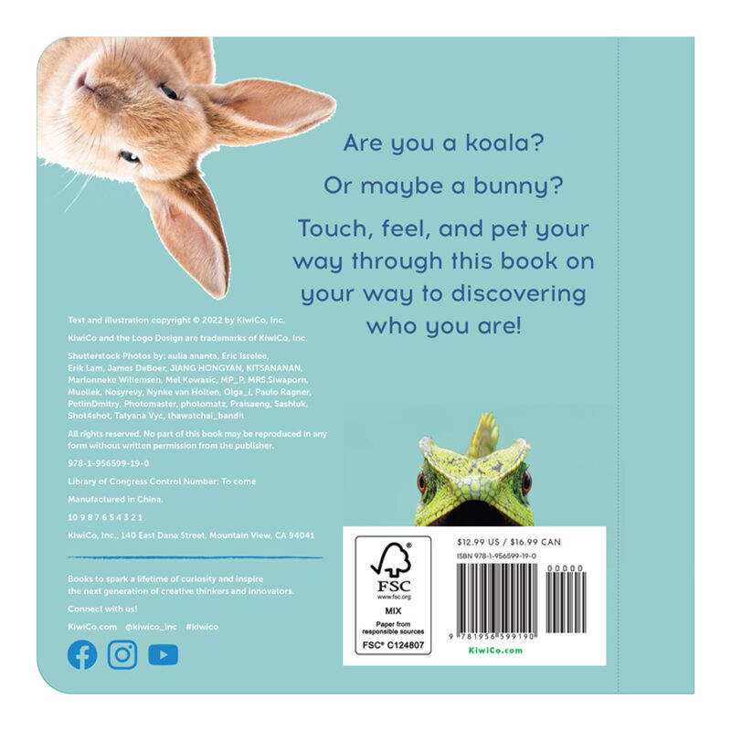 Are You A Koala? - Image 10
