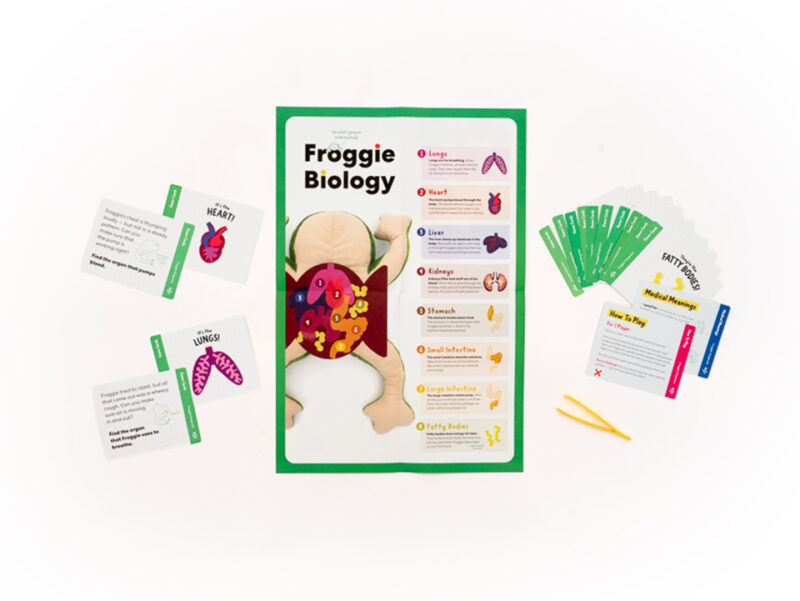Froggie Dissection Lab Book Bundle - Image 5