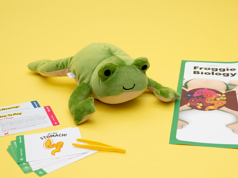 Froggie Dissection Lab Book Bundle - Image 4