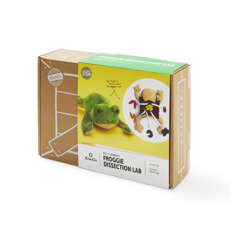 Froggie Dissection Lab - Image 5