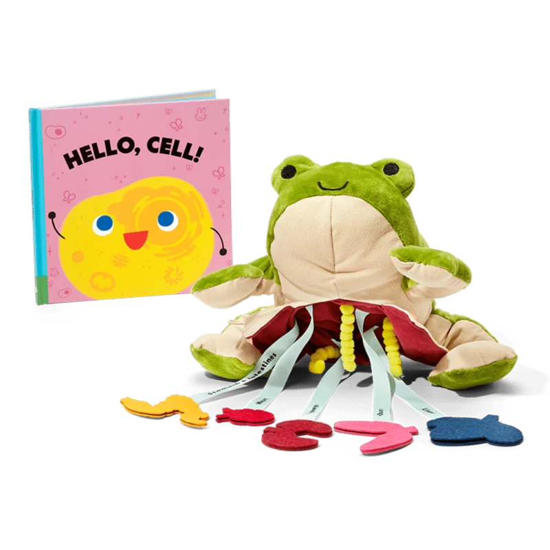 Froggie Dissection Lab Book Bundle - Image 7