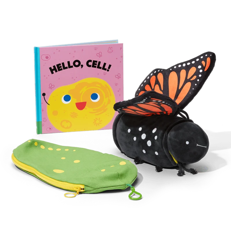 Metamorphosing Butterfly Book Bundle - Image 6