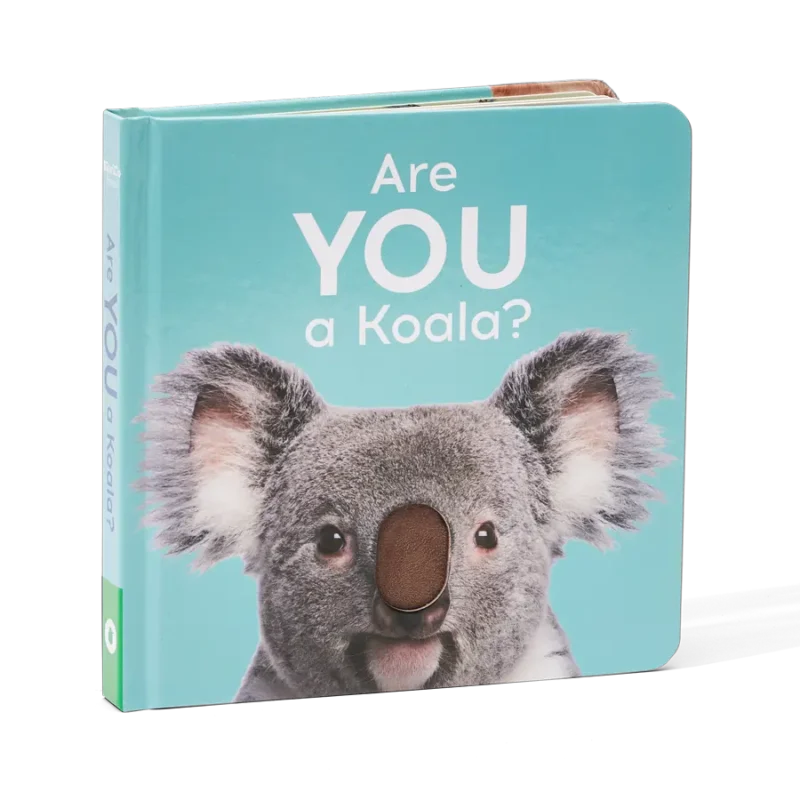 Are You A Koala?