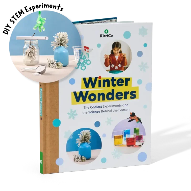 Winter Wonders - Image 6