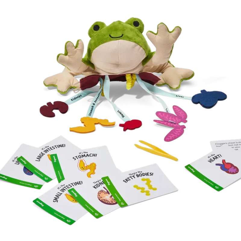 Froggie Dissection Lab - Image 6