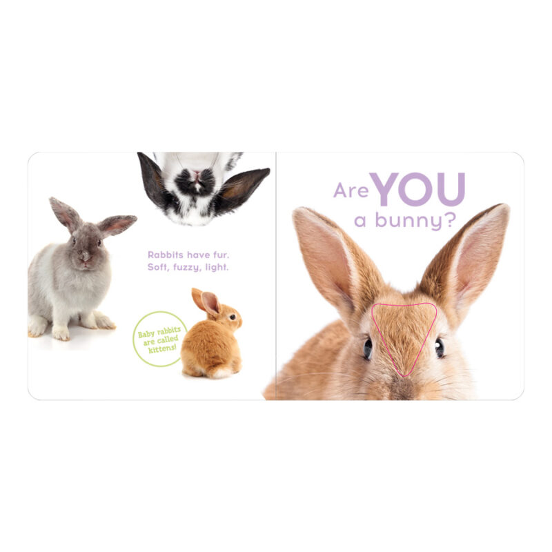 Are You A Koala? - Image 7
