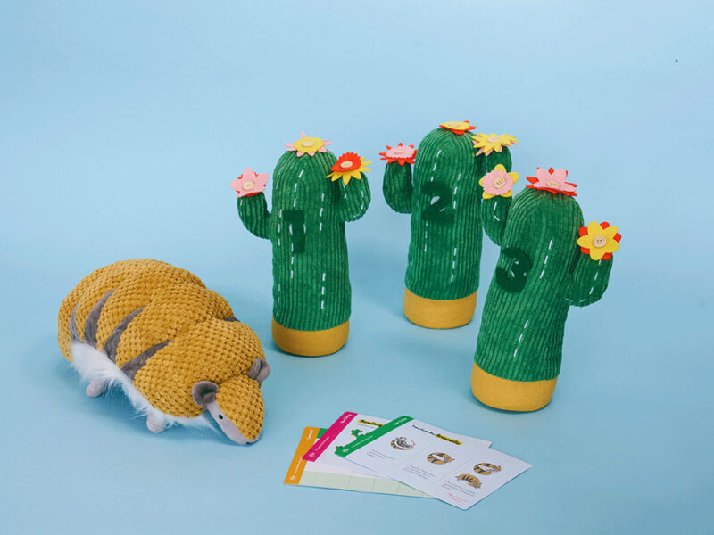 Armadillo Bowling Set - Image 2