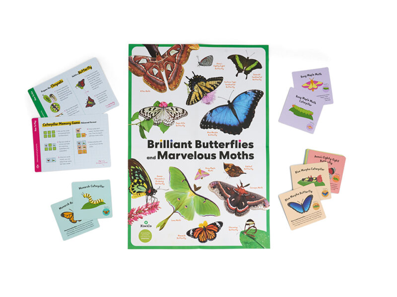 Metamorphosing Butterfly Book Bundle - Image 5