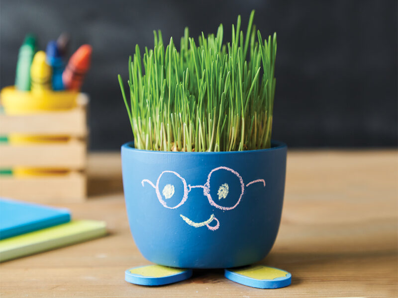 Draw & Grow Planter - Image 3