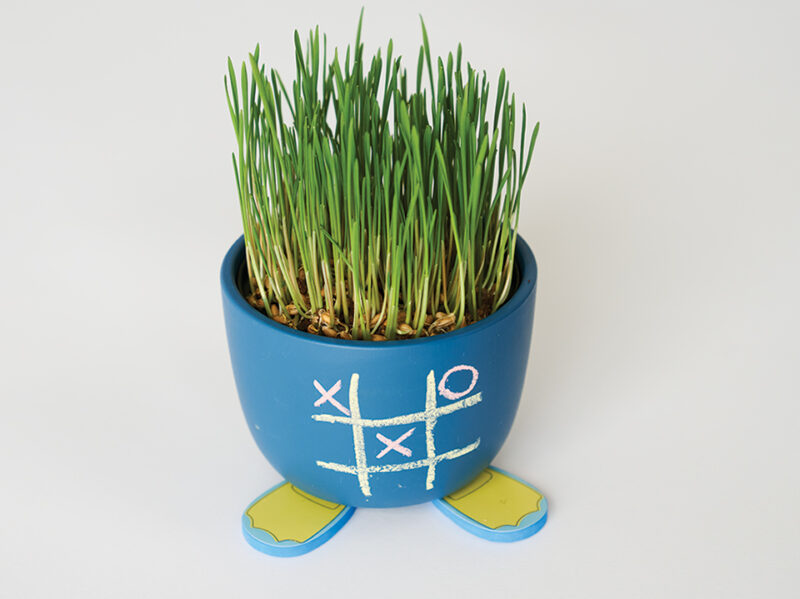 Draw & Grow Planter - Image 7