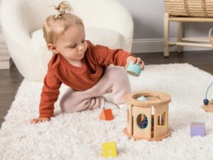 Biology Blocks Shape Sorter