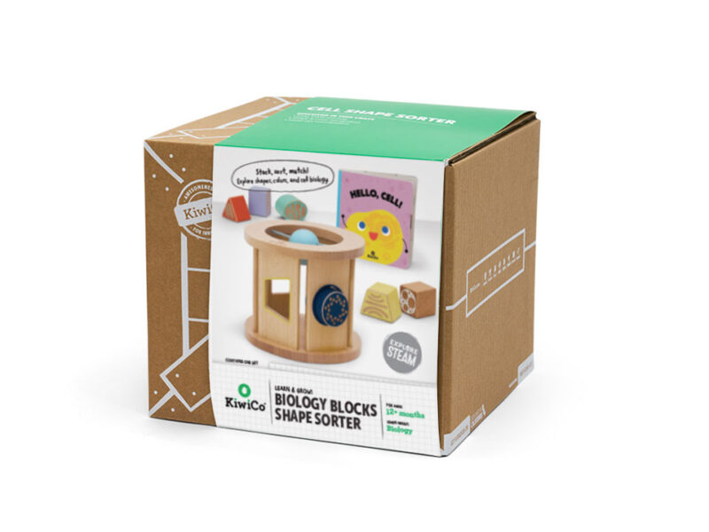 Biology Blocks Shape Sorter - Image 7