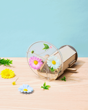Nature Kaleidoscope Set