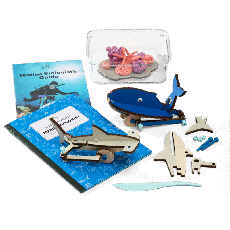 Marine Biologist Starter Kit - Image 7