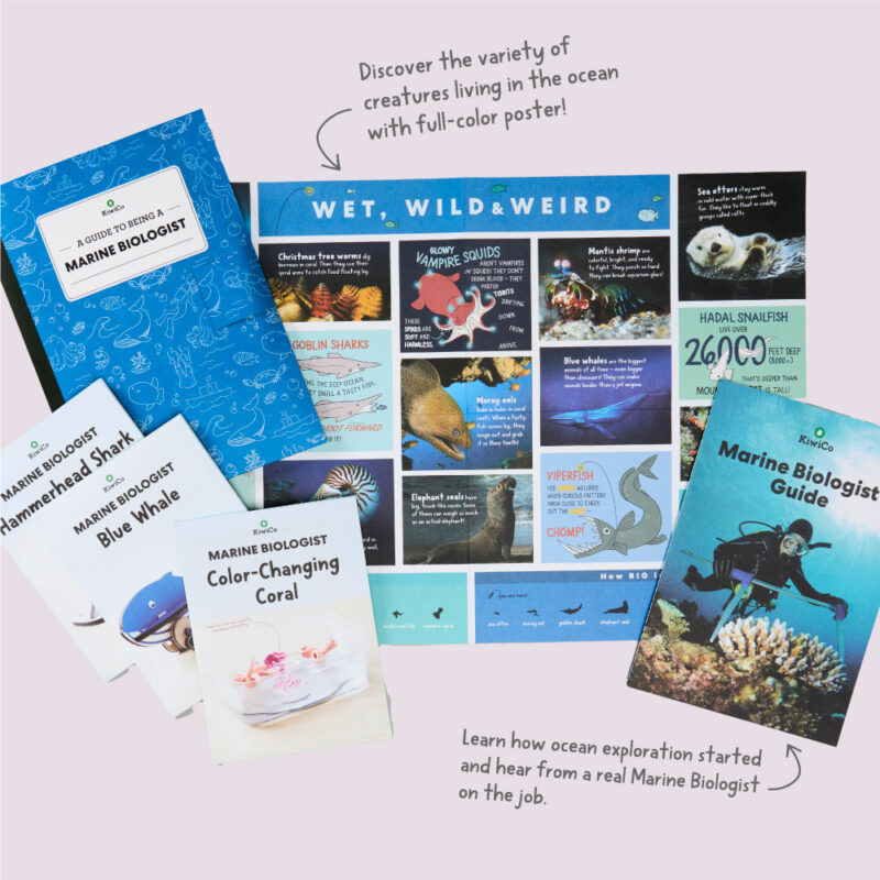 Marine Biologist + Who Makes That? Book Bundle - Image 4