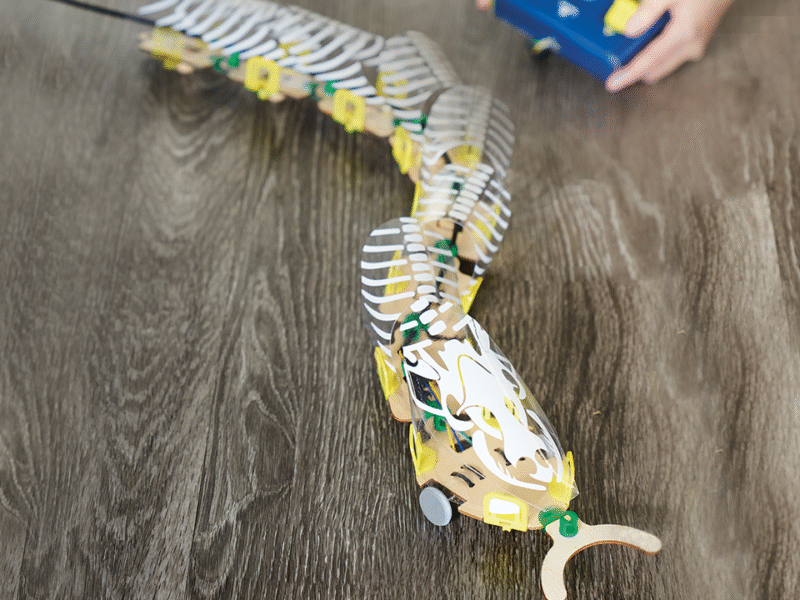 Remote-Controlled Snake Robot - Image 7