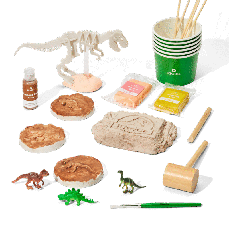 Paleontologist Starter Kit - Image 7