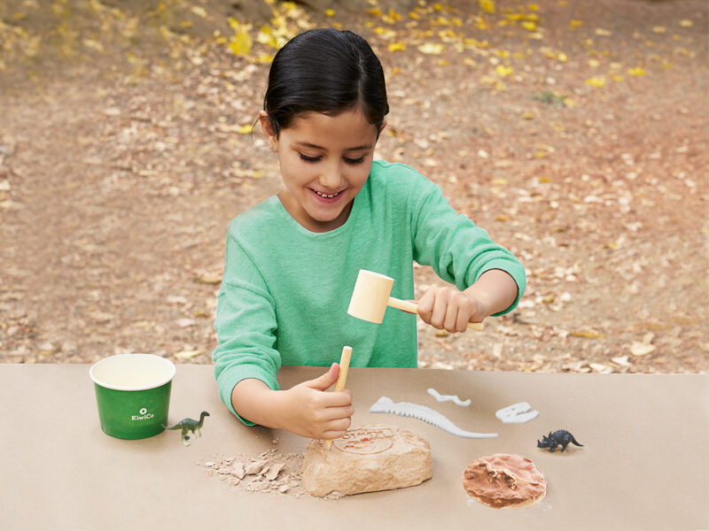 Paleontologist Starter Kit Book Set - Image 5