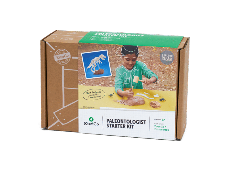 Paleontologist Starter Kit Book Set - Image 7