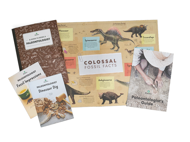 Paleontologist Starter Kit - Image 6