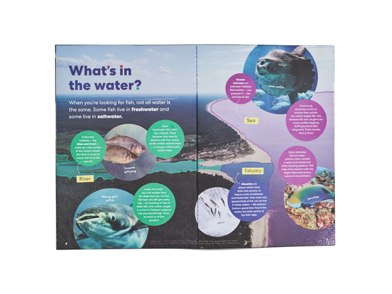Fishing Game - Image 5