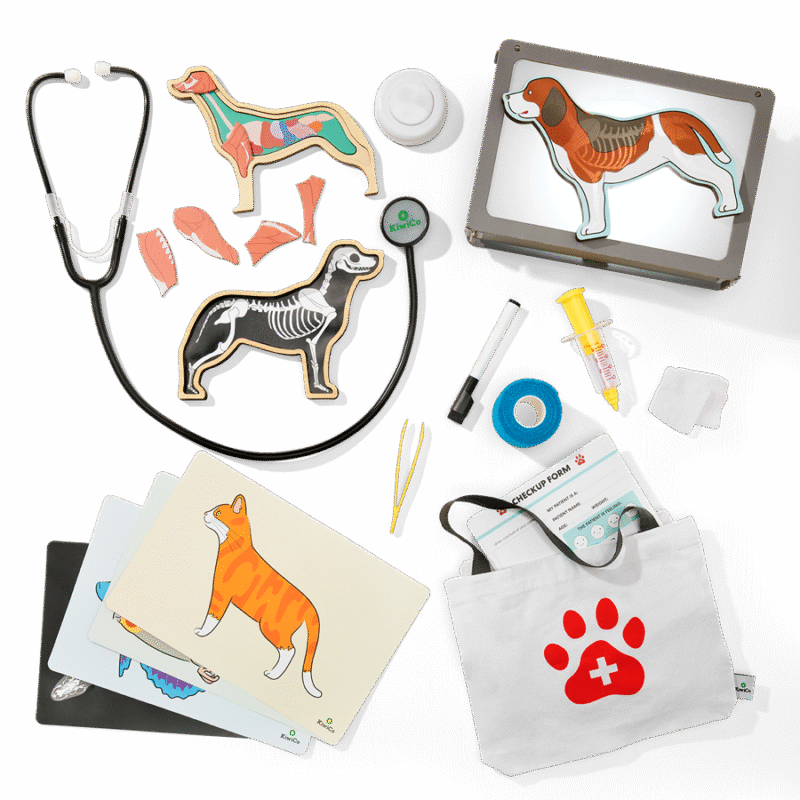 Veterinarian Starter Kit - Image 7
