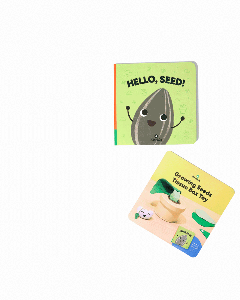 Growing Seeds Tissue Box Toy - Image 3