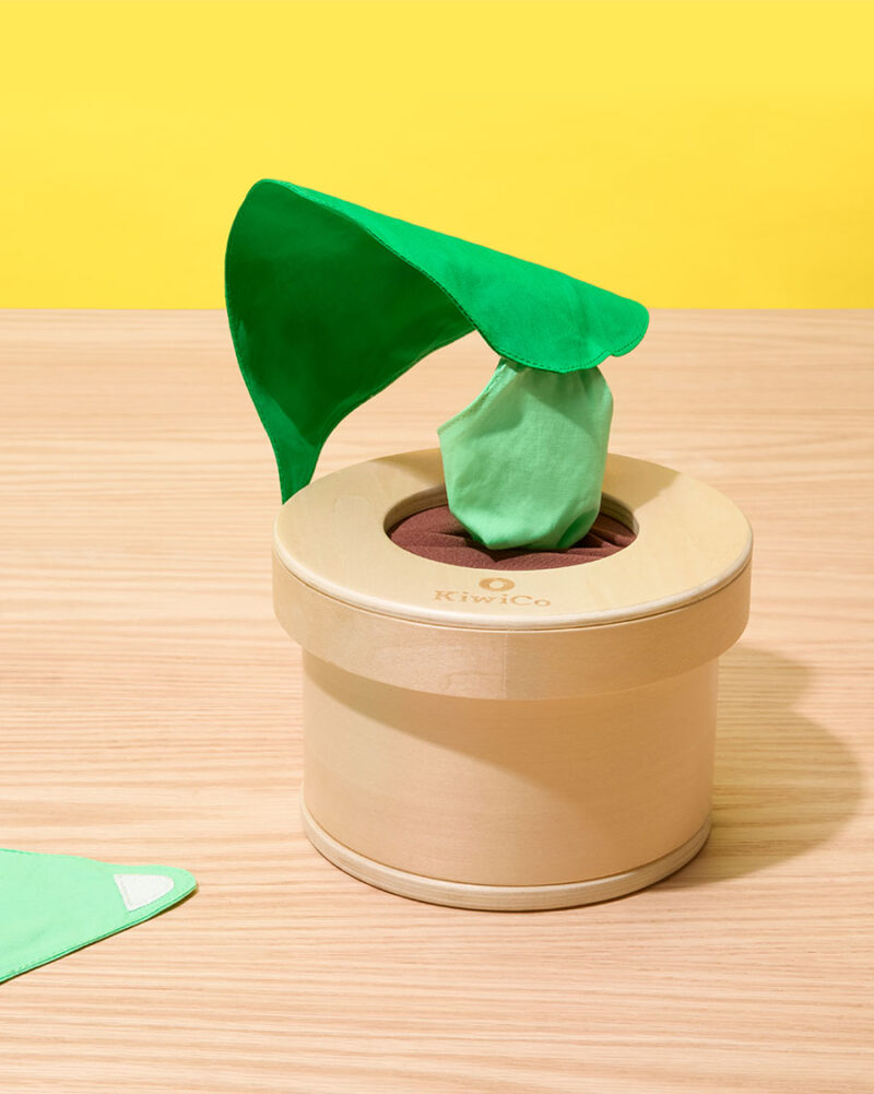 Growing Seeds Tissue Box Toy - Image 5