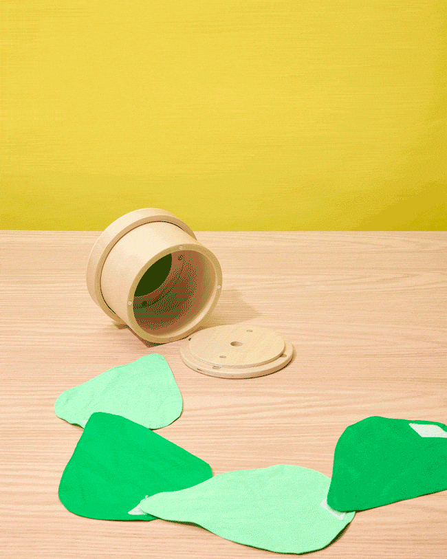 Growing Seeds Tissue Box Toy - Image 2