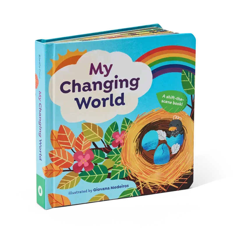 My Changing World: A shift-the-scene book! - Image 5