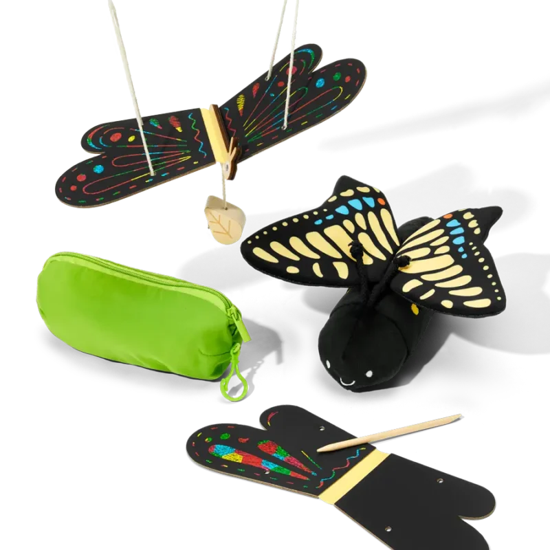 Butterflies and Caterpillars - Image 6