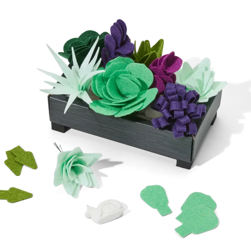 Felt Succulent Garden - Image 6